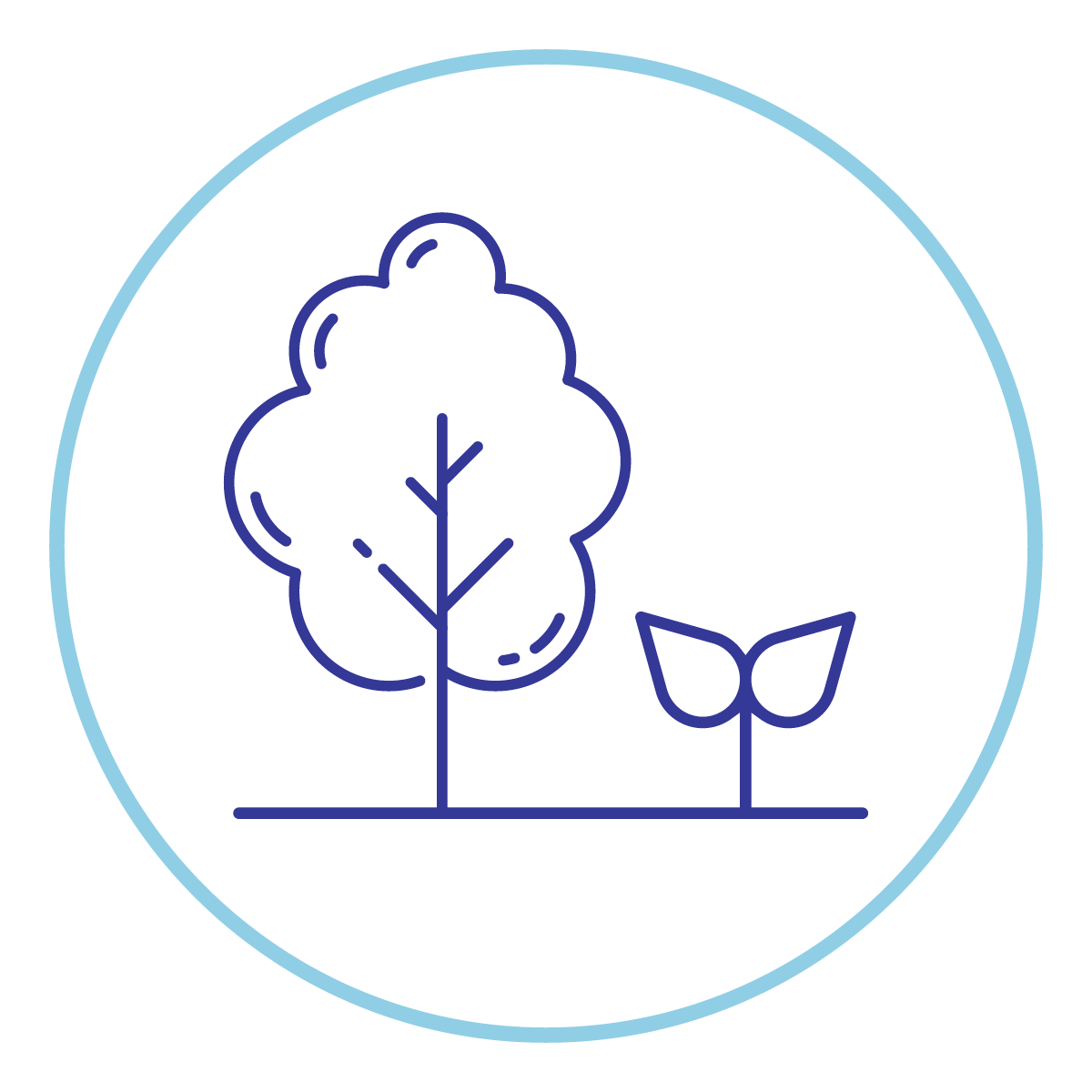 Tree and sapling icon 